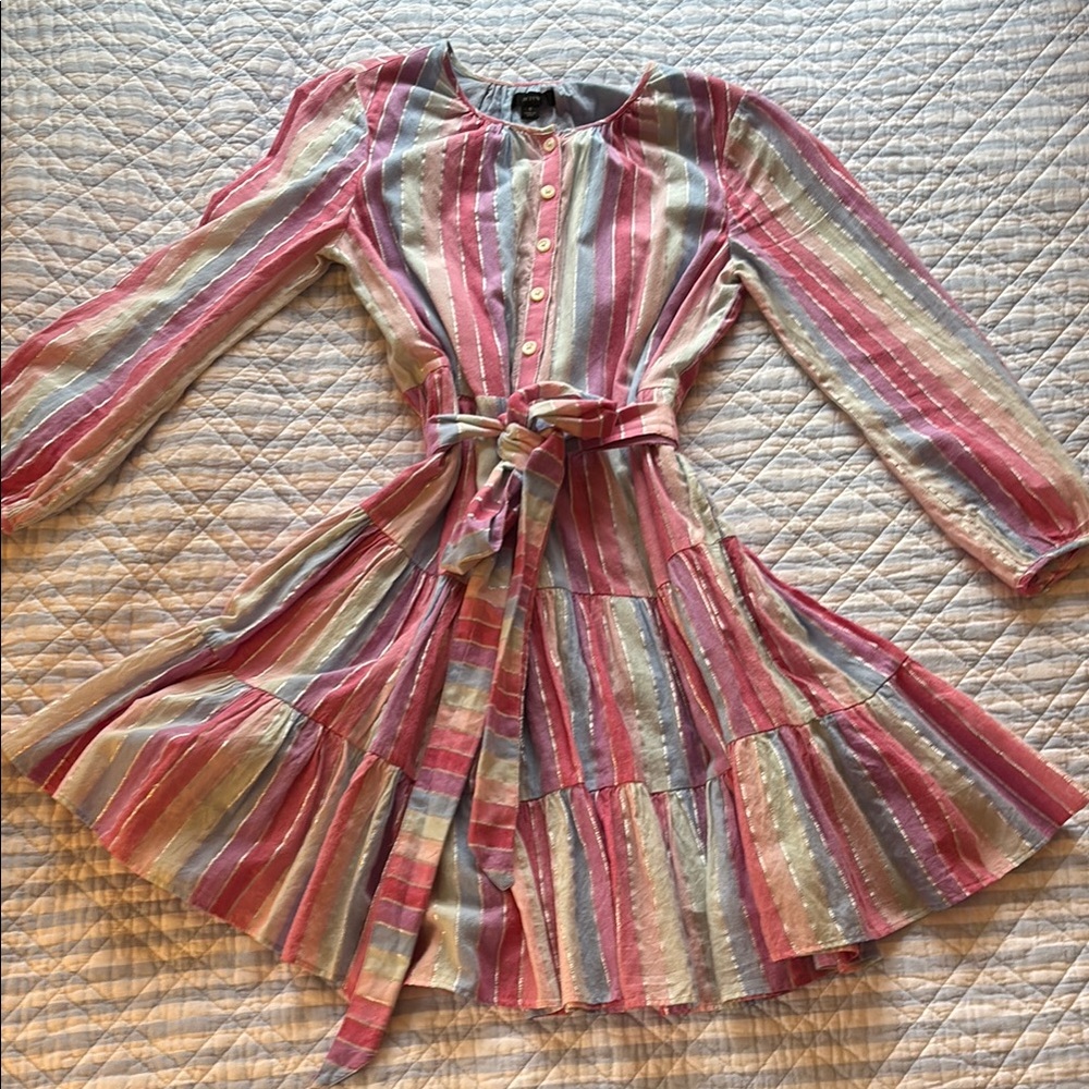 J. Crew Striped Multi-Color Mini Dress